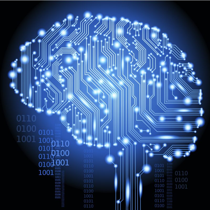 data-brain