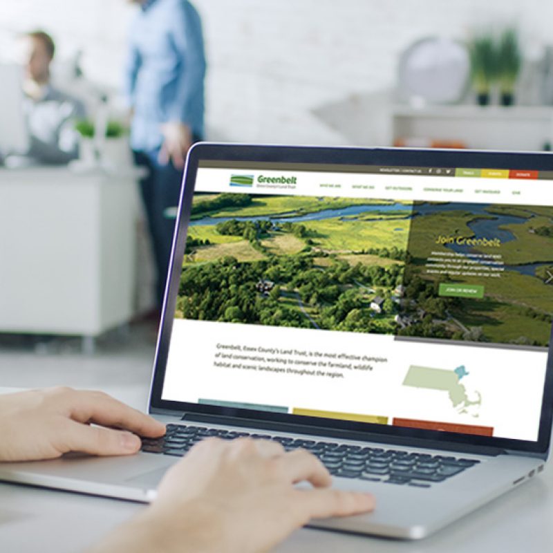 ngo-website-development